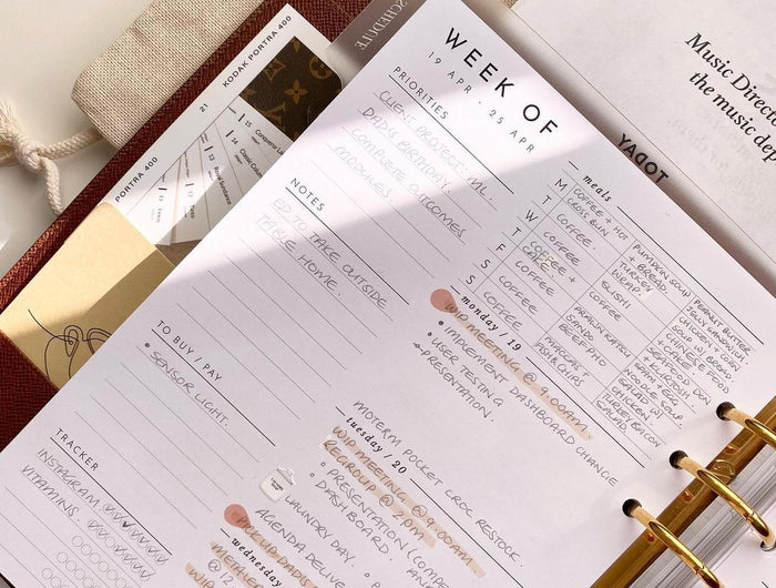 <h1><strong>SHOP OUR SIX-RING PLANNER SYSTEM</strong></h1>